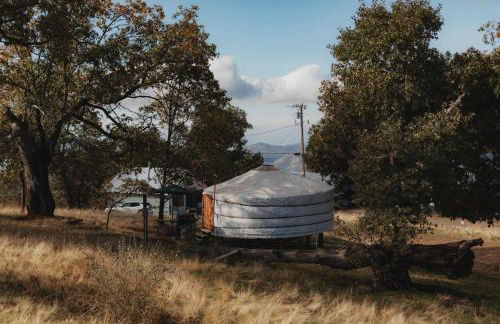 Glamping yurt at Sequoia Highland Camp - Foto 17