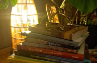 4 Żywioły całoroczne domki w górach - dostęp do sauny - Foto 45