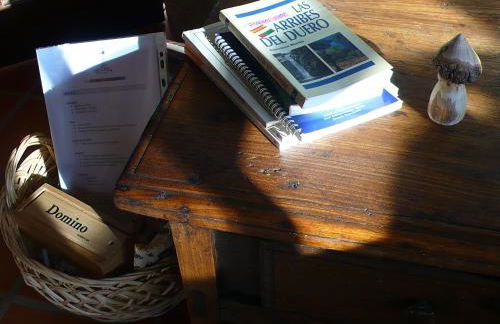 Casa da Ti Cura - Foto 9