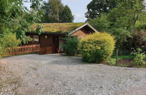 Luxurious lodge, Woodlands View, Hot tub at Rudyard Lake, couples or small family - Photo 4
