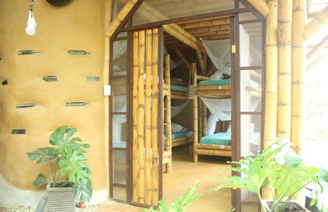 Sol de minca - Photo 5