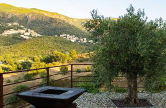 APICULTEUR - Foto 15