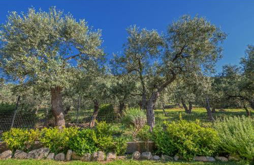 Omalia Apartment - Photo 44