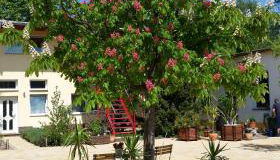 Ferienwohnung Grüne Oase - Foto 2, Garden view