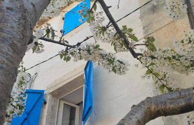 Casa Nini Mer - charming stone house with yard near Pula - Foto 73