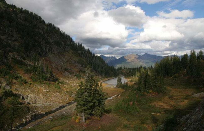 12GS - BBQ - WiFi - Dishwasher - Sleeps 4 - Foto 22