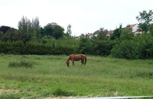 Le petite maison du Crembreux - Foto 12
