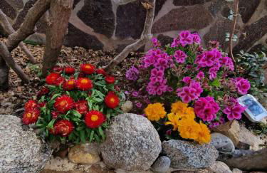 Villa Quattro Archi - Foto 60