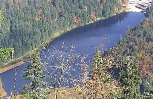 Holiday Home Marco in Eppenschlag by Interhome - Foto 21