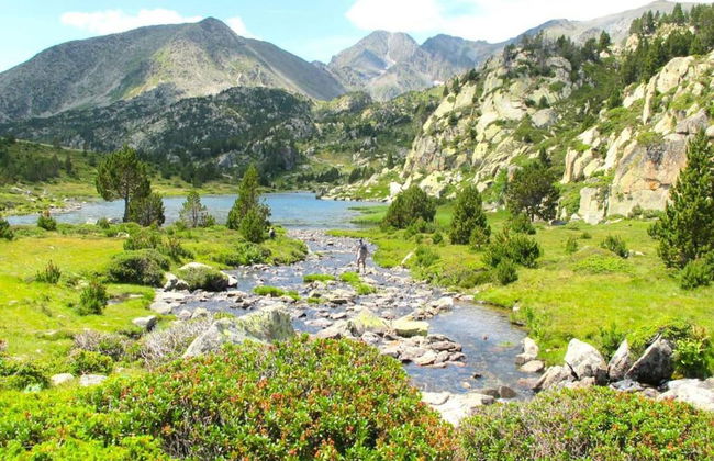 Pet-friendly Home w/ Garden - Foto 31