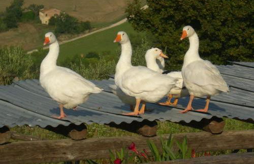 C'era Una Volta - Foto 56