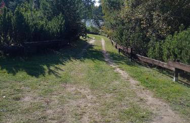 Agroturystyka na wsi w borach tucholskich - Foto 23