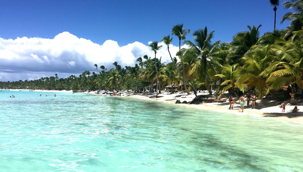 Saona Island - Full-Day Tour with Hotel Pick-Up - Foto 2