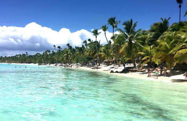 Saona Island - Full-Day Tour with Hotel Pick-Up - Foto 2