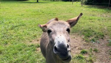 Country house! Maison de campagne! - Foto 2