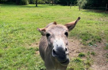 Country house! Maison de campagne! - Foto 2