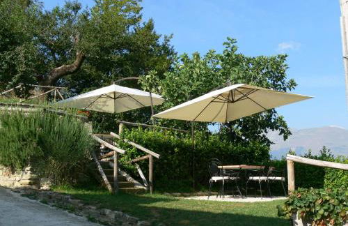 Agriturismo La Filomena - Foto 12