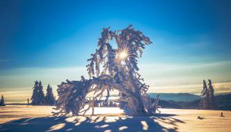 FEWO zum gscheiten Beck mit Garten - Foto 2