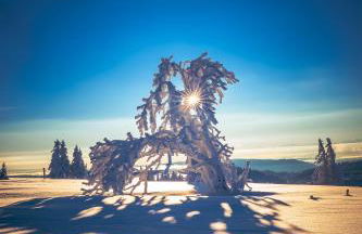 FEWO zum gscheiten Beck mit Garten - Foto 1