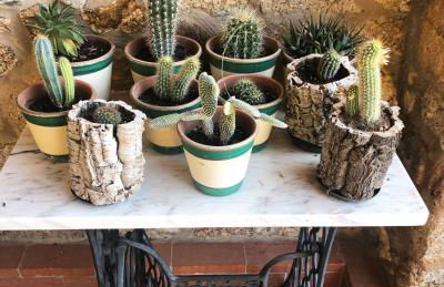 Apartamentos Rurales La Macera **** - Foto 30