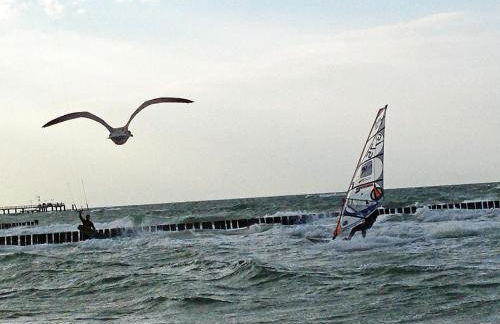 Ferienwohnung BROMBEERE mit großem Garten und Balkon - Foto 14