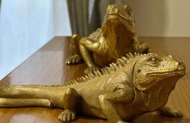 Sol de mar, La Mata (Hiszpania) - Foto 11