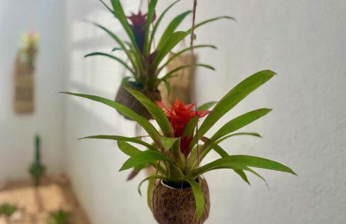 Villa Joie de Vivre - Foto 41