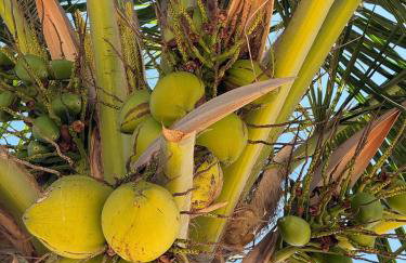 Pé-na-areia com piscina na Rota dos Milagres - Foto 58