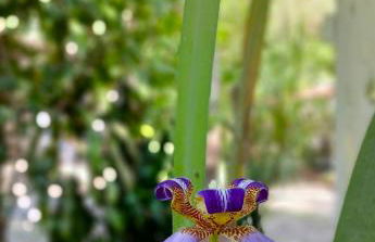 Estalagem Santo André - Foto 28