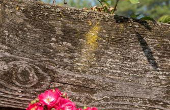 Agritur Artemisia - Photo 5