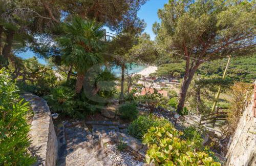 Casa dell'Asino - Goelba - Photo 25