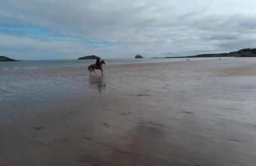 "Fraser's" at Marine Lodge - Foto 66