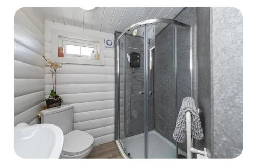 Snowdonia Escapes # TRANQUIL CABIN with Views, Wi-Fi, Dog Friendly & Parking - Foto 18