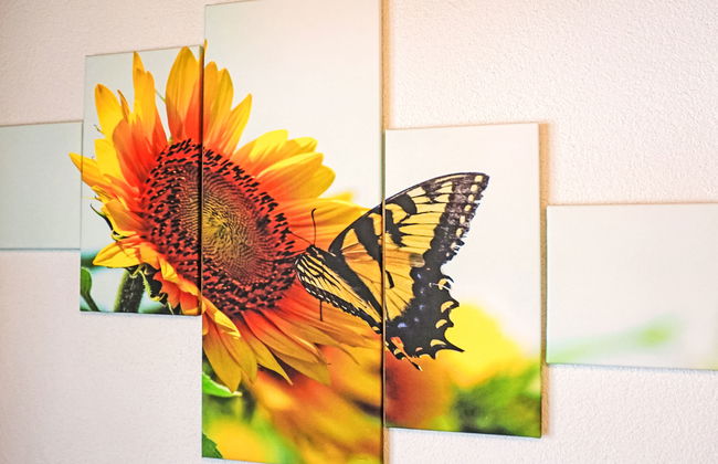 Daheim – Mittagskogel - Foto 9