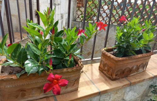 Villa Rossi - Foto 52