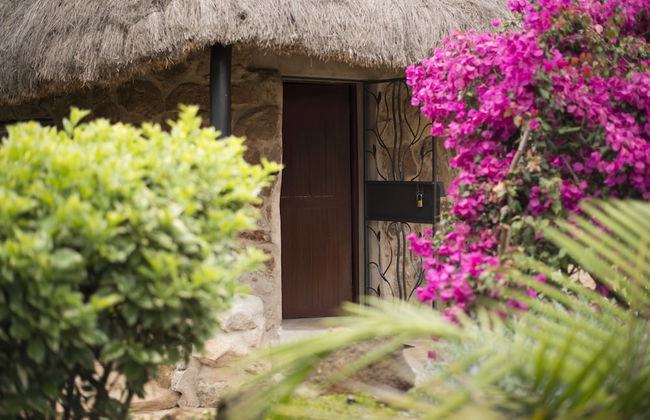 Nyati Hill Cottages - Foto 31