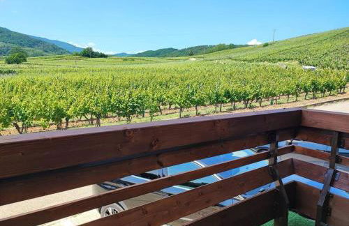 L'Altenberg - Foto 22