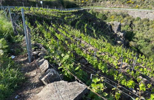 Casa da Baltasara - Foto 18