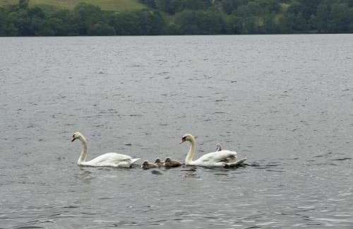 Lindisfarne Cottage in Windermere - Foto 3