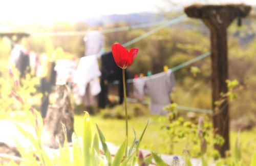 Le Gîte des Cimes - Foto 45