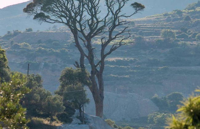 Valena Stylish Home -15 min to Elafonisi - Foto 53