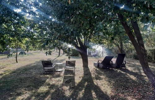 Ferienhaus am grossen See in Fuerstenwerder - Photo 24