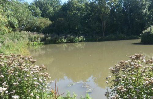 Wren Cottage, Howdales - Foto 20