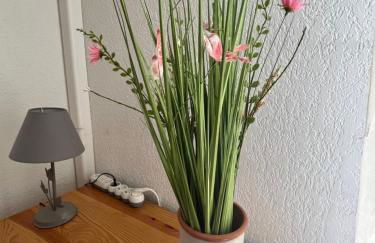 Studio climatisé avec jardin et plage à 250m - Photo 19