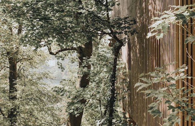 Cabane de la Saône by Lyon Country House - Foto 3