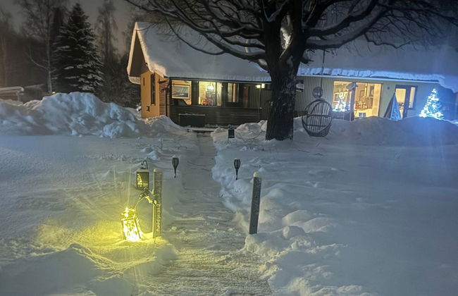 Kiviniemi - Photo 36