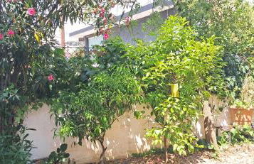 ABC Studios C - Photo 17