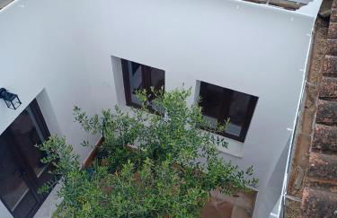 Sensaciones - Foto 43