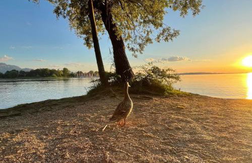 Seethal-Chiemseestrand - Foto 14