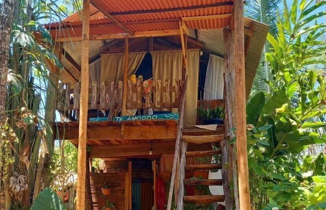 Pousada Pouso das Araras - Foto 7